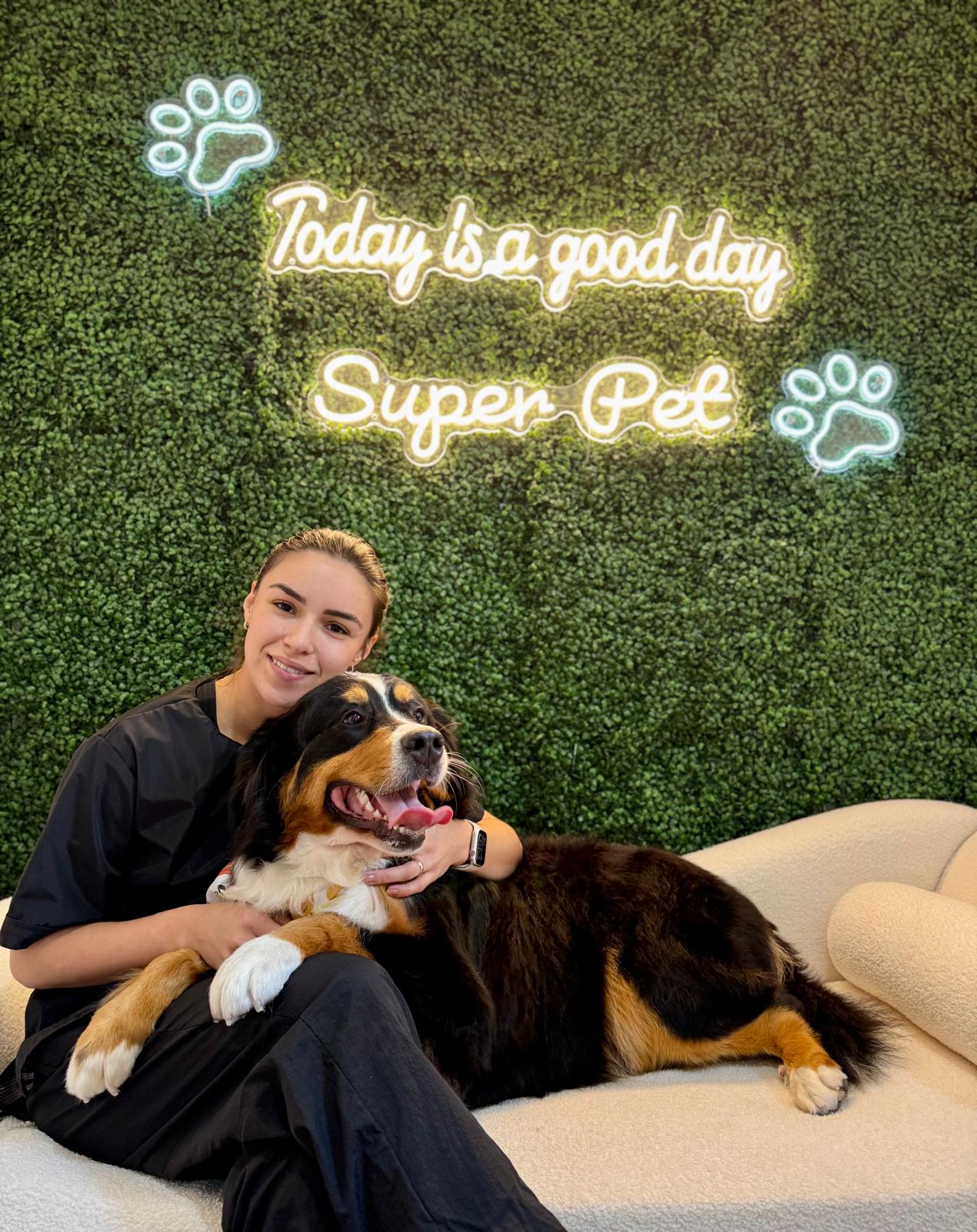 Groomer cuddling a Bernese Mountain Dog at Super Pet