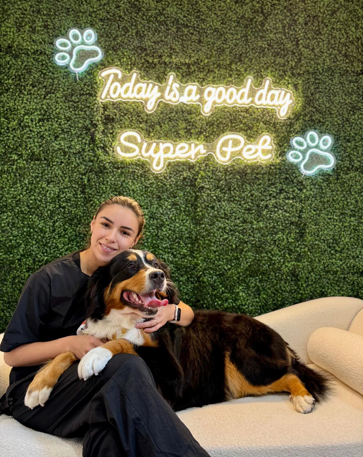 Super Pet groomer cuddling a Bernese Mountain Dog at the salon in Falmouth, MA